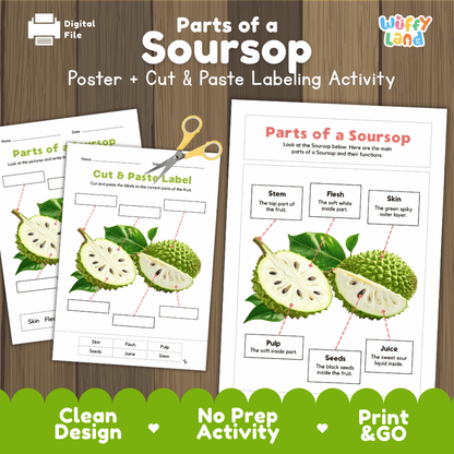 Parts of a Soursop anatomy poster and cut and paste labeling activity worksheet pack preview for elementary science