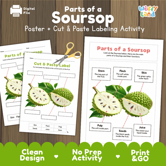 Parts of a Soursop anatomy poster and cut and paste labeling activity worksheet pack preview for elementary science