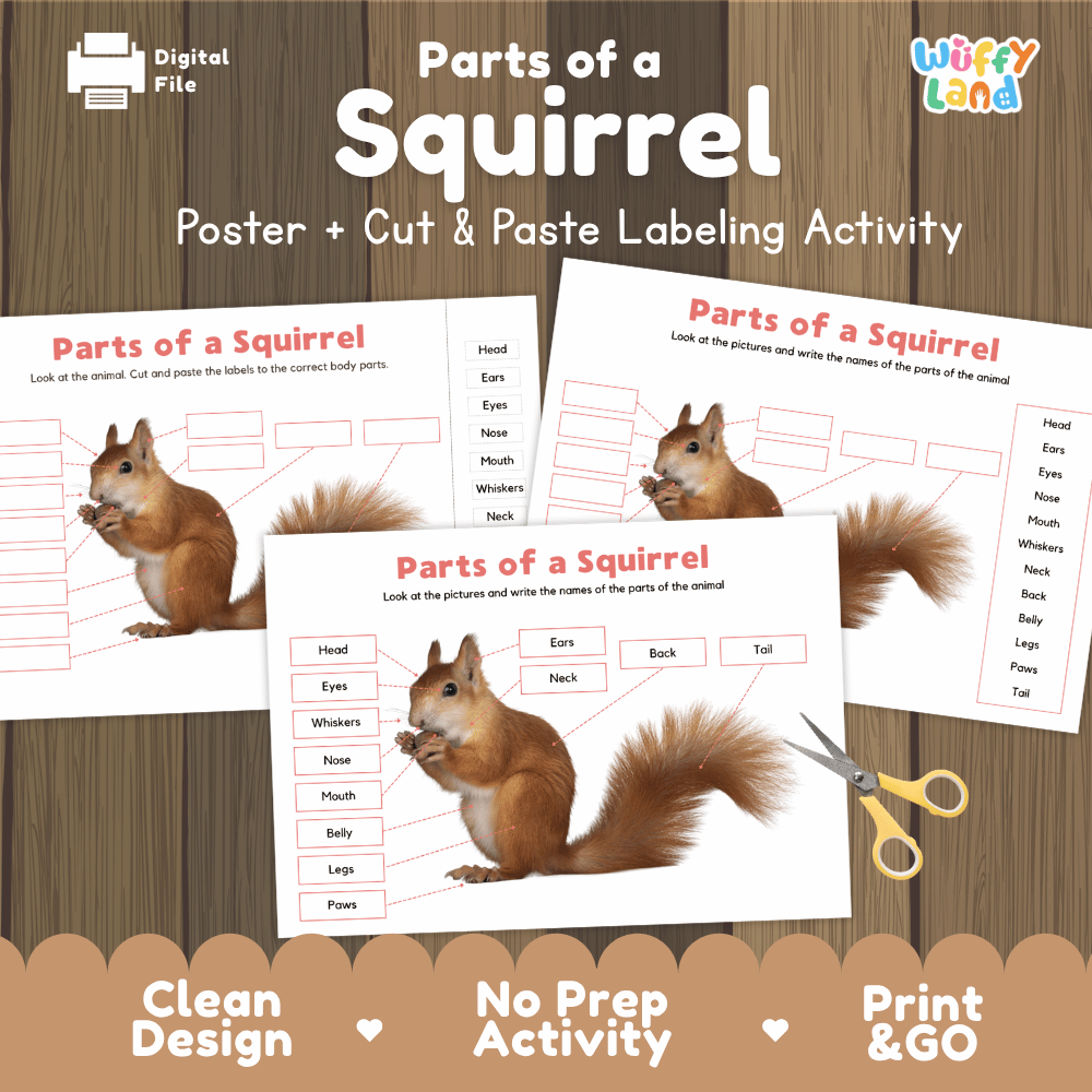 Parts of a Squirrel poster and cut and paste labeling activity printable pack showing labeled diagram and cut-and-paste worksheets for elementary science