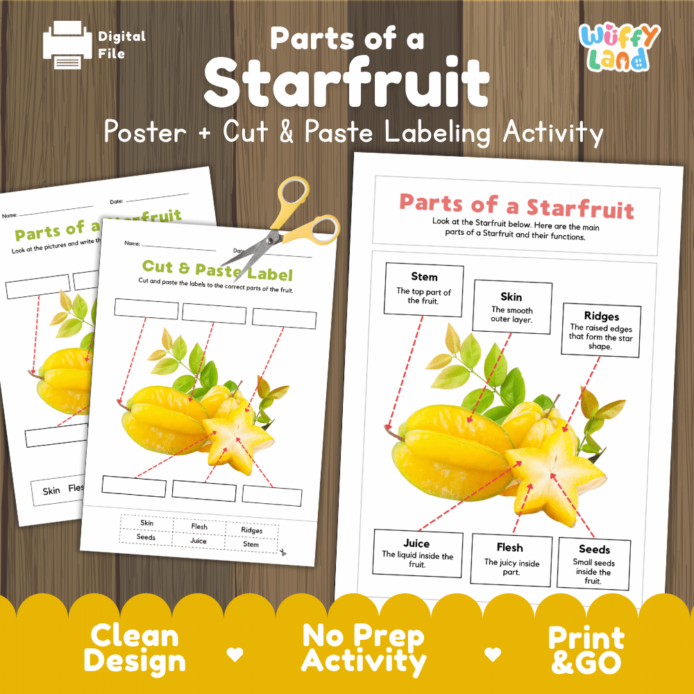 Parts of a Starfruit anatomy poster and cut and paste labeling activity worksheet pack preview for elementary science