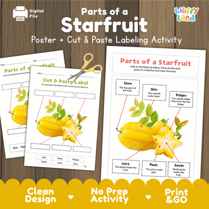 Parts of a Starfruit anatomy poster and cut and paste labeling activity worksheet pack preview for elementary science