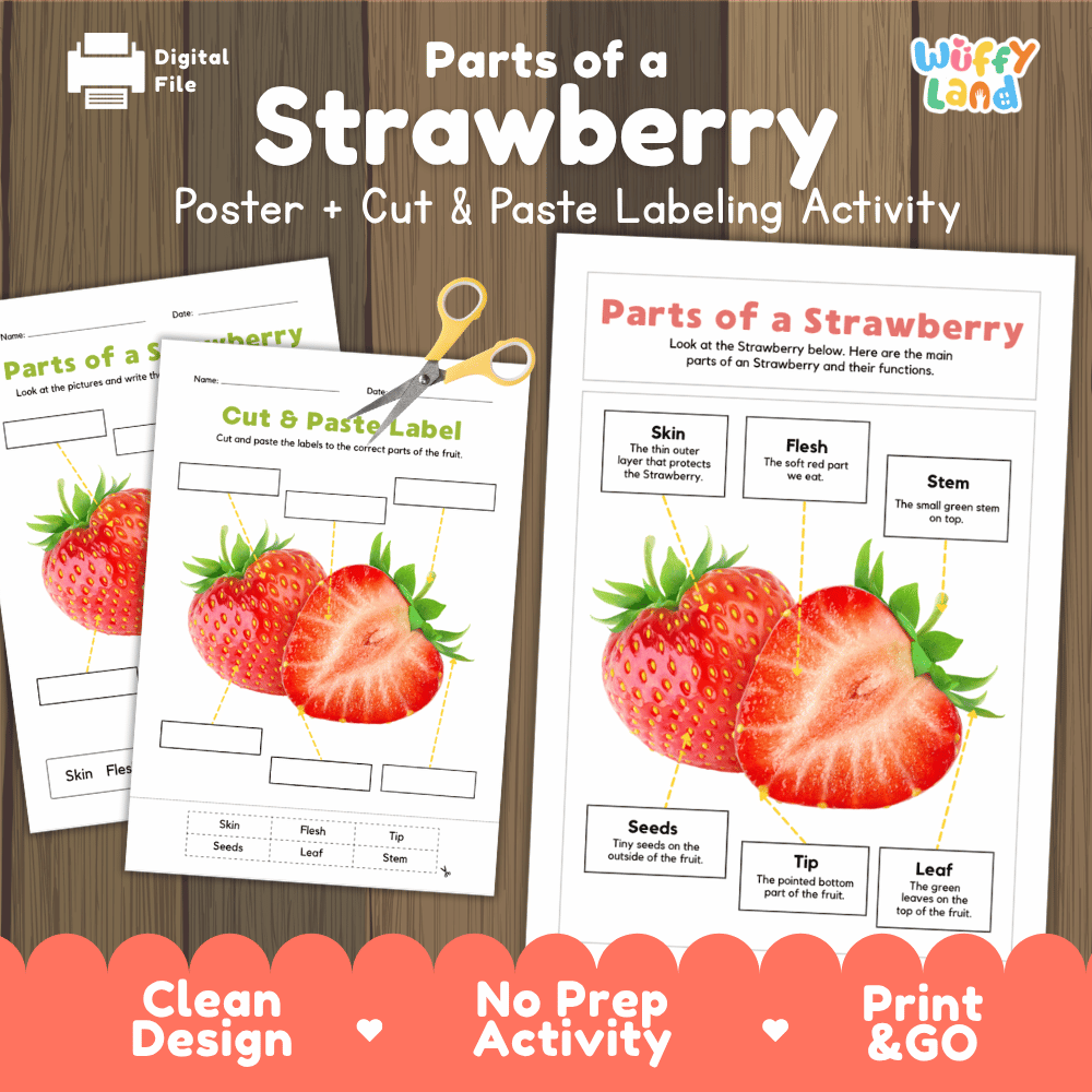 Parts of a Strawberry poster and cut and paste labeling activity printable pack showing labeled reference chart and differentiated worksheets for elementary science