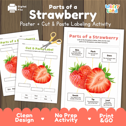 Parts of a Strawberry poster and cut and paste labeling activity printable pack showing labeled reference chart and differentiated worksheets for elementary science