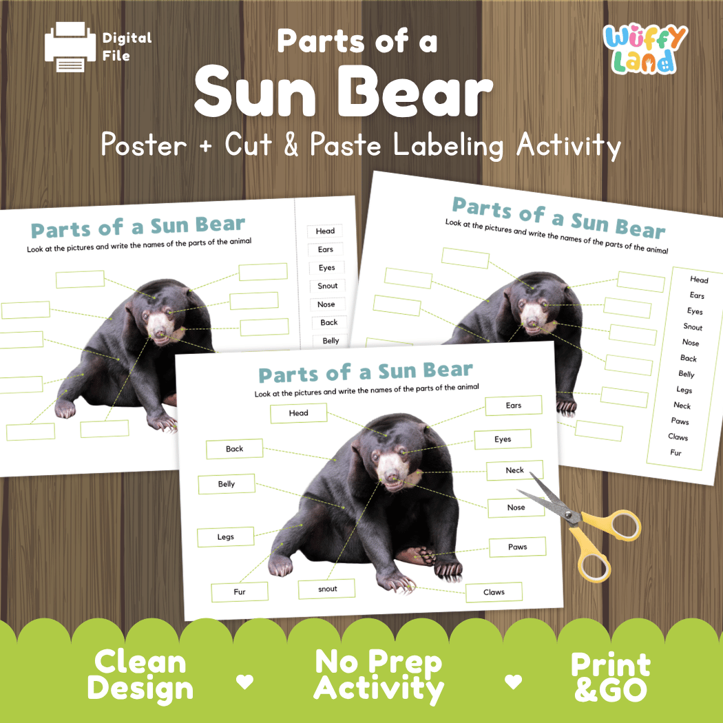 Parts of a Sun Bear anatomy poster and cut and paste labeling activity worksheet pack preview for elementary science