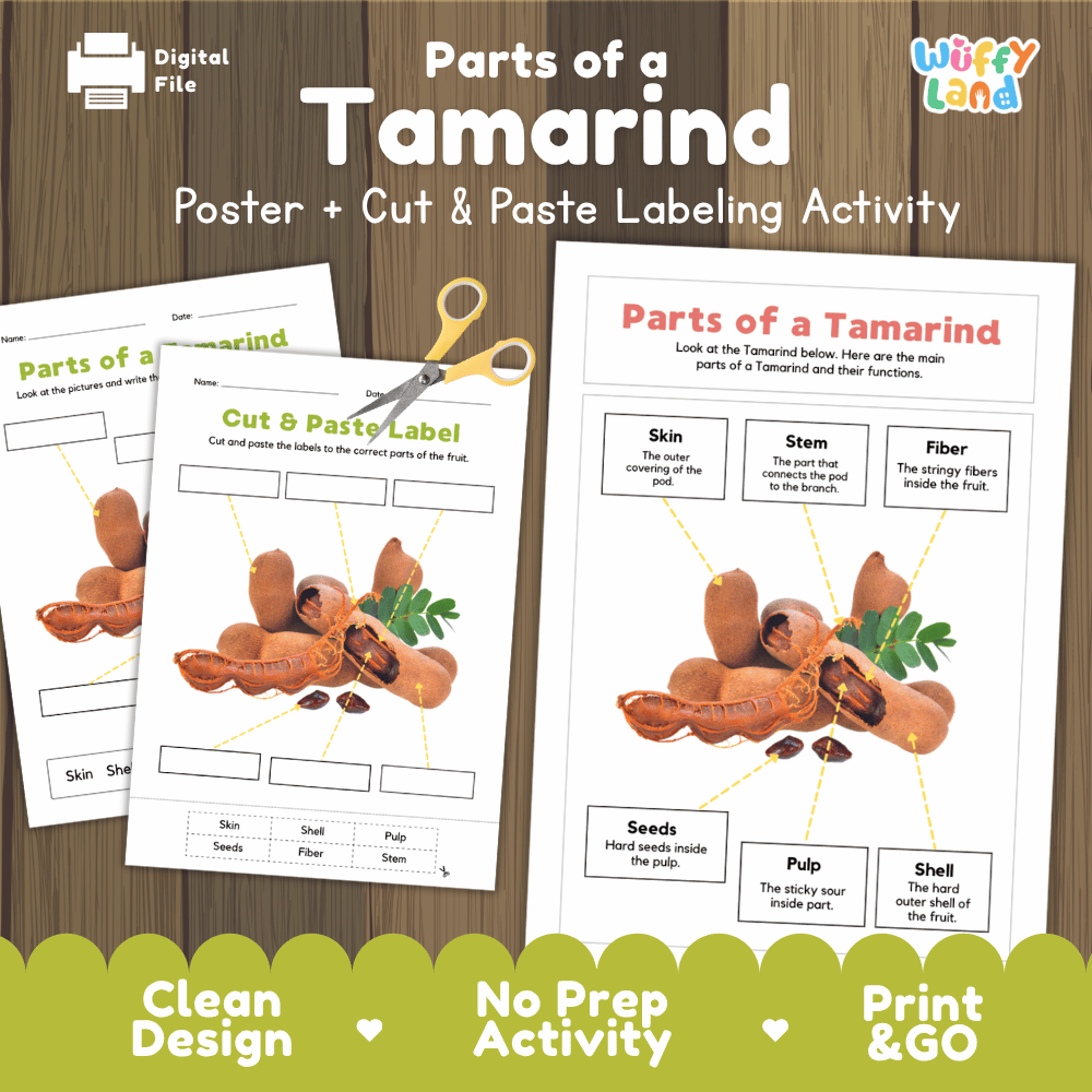 Parts of a Tamarind poster and cut and paste labeling activity printable pack showing labeled reference chart and differentiated worksheets for elementary science