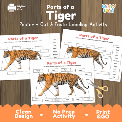 Parts of a Tiger anatomy poster and cut and paste labeling activity worksheet pack preview for elementary science