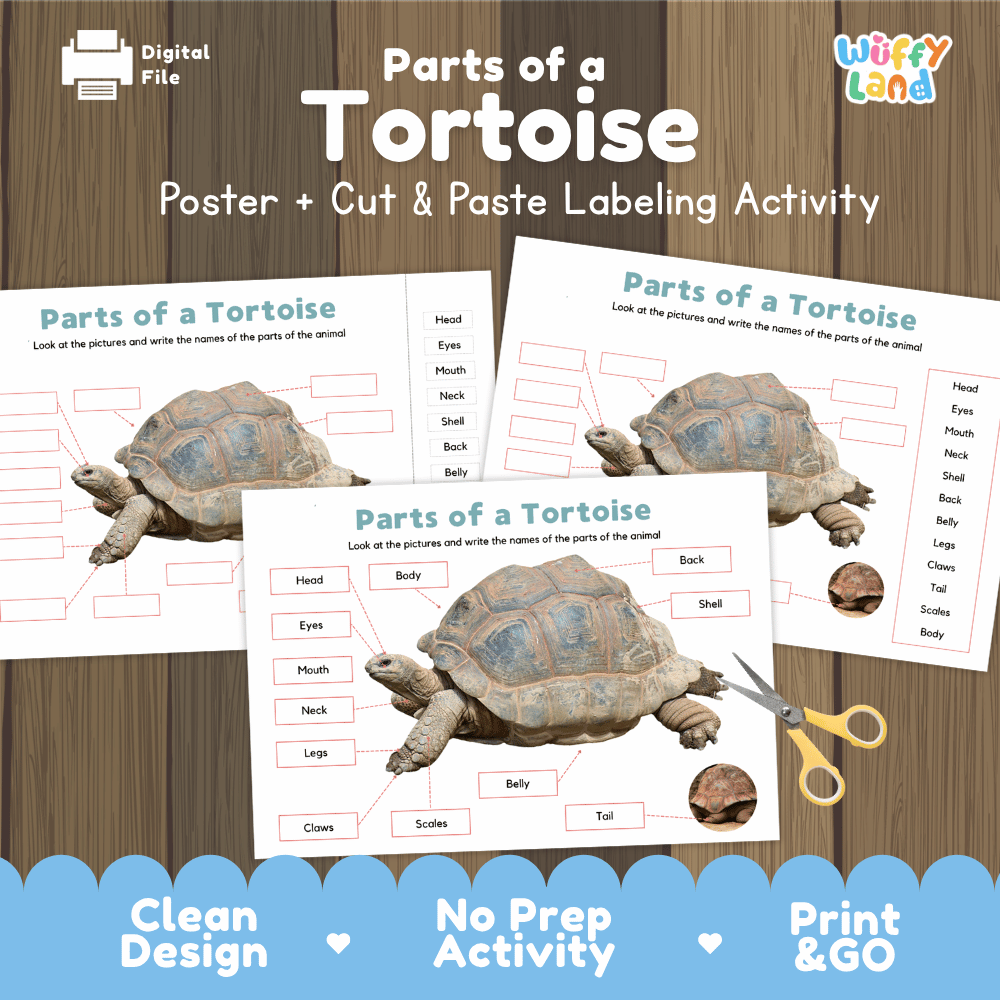Parts of a Tortoise poster and cut and paste labeling activity printable pack showing labeled reference chart and differentiated worksheets for elementary science