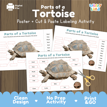 Parts of a Tortoise poster and cut and paste labeling activity printable pack showing labeled reference chart and differentiated worksheets for elementary science