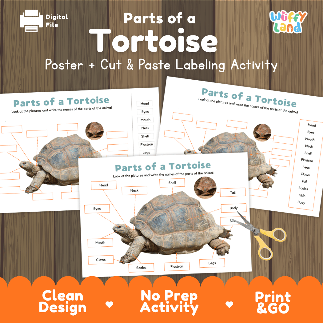 Parts of a Tortoise anatomy poster and cut and paste labeling activity worksheet pack preview for elementary science