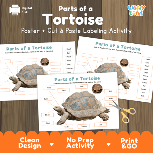 Parts of a Tortoise anatomy poster and cut and paste labeling activity worksheet pack preview for elementary science