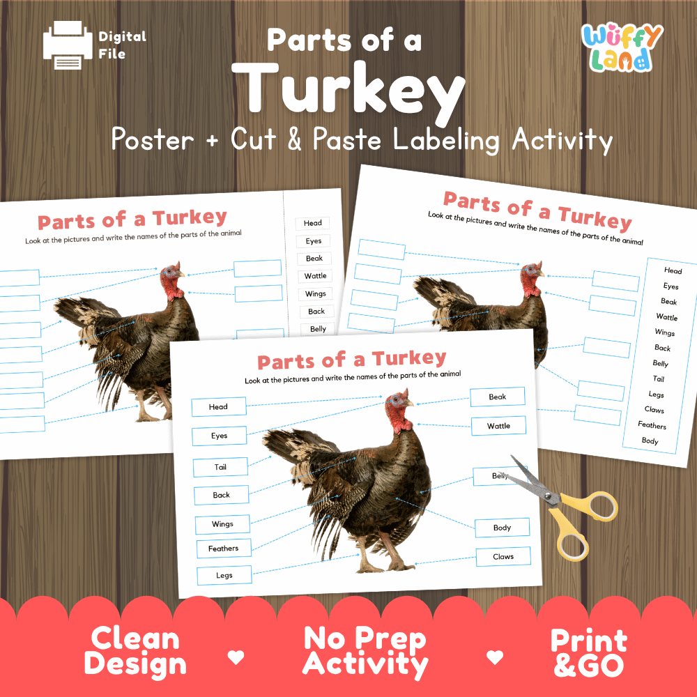 Parts of a Turkey poster and cut and paste labeling activity worksheet pack preview for elementary science