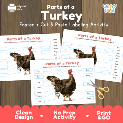 Parts of a Turkey poster and cut and paste labeling activity worksheet pack preview for elementary science