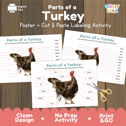 Parts of a Turkey anatomy poster and cut and paste labeling activity worksheet pack preview for elementary science