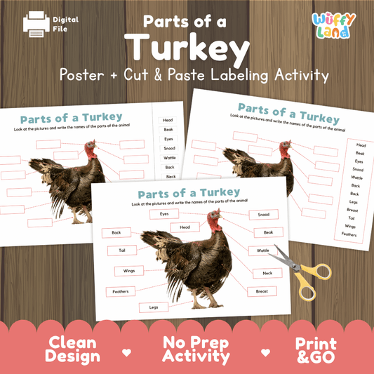 Parts of a Turkey anatomy poster and cut and paste labeling activity worksheet pack preview for elementary science