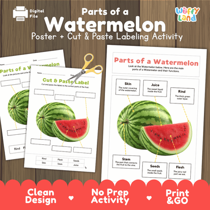 Parts of a Watermelon poster and cut and paste labeling activity printable pack showing labeled reference chart and differentiated worksheets for elementary science