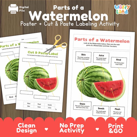 Parts of a Watermelon poster and cut and paste labeling activity printable pack showing labeled reference chart and differentiated worksheets for elementary science