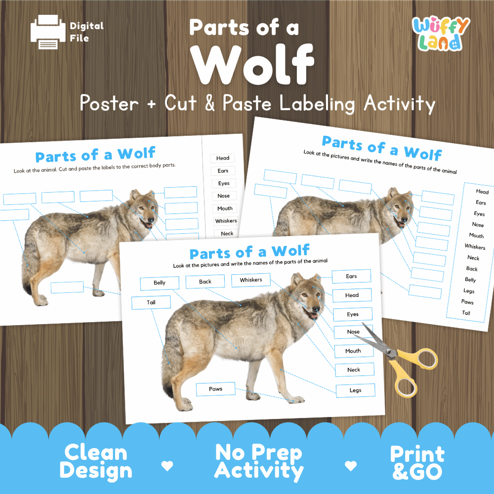 Parts of a Wolf poster and cut and paste labeling activity printable pack featuring labeled reference poster and differentiated anatomy worksheets for elementary science