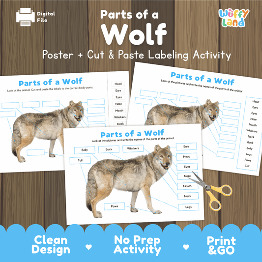 Parts of a Wolf poster and cut and paste labeling activity printable pack featuring labeled reference poster and differentiated anatomy worksheets for elementary science