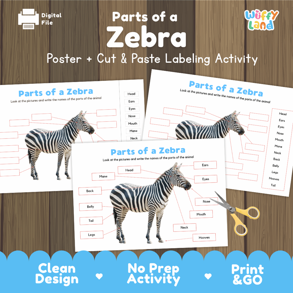 Parts of a Zebra anatomy poster and cut and paste labeling activity worksheet pack preview for elementary science
