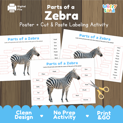 Parts of a Zebra anatomy poster and cut and paste labeling activity worksheet pack preview for elementary science