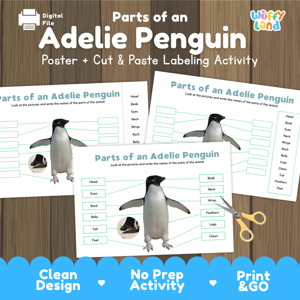 Parts of an Adelie Penguin anatomy poster and cut and paste labeling activity worksheet pack preview for elementary science