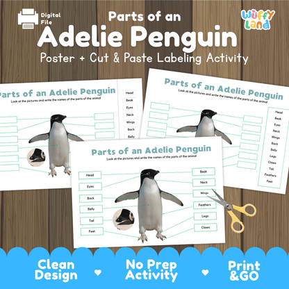 Parts of an Adelie Penguin anatomy poster and cut and paste labeling activity worksheet pack preview for elementary science