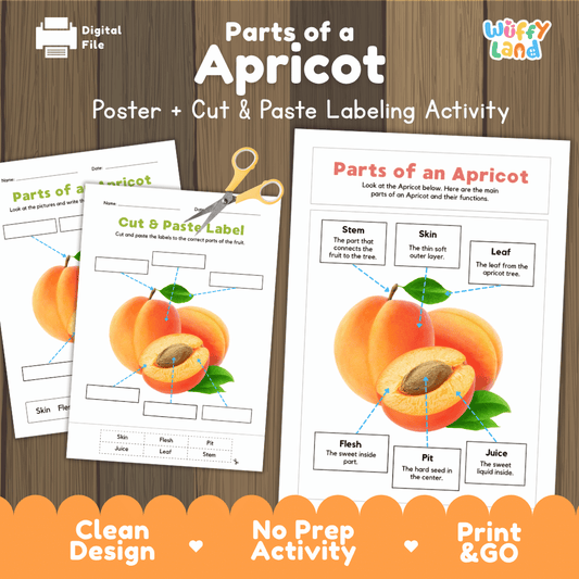 Parts of an Apricot poster and cut and paste labeling activity printable pack showing labeled reference chart and differentiated worksheets for elementary science
