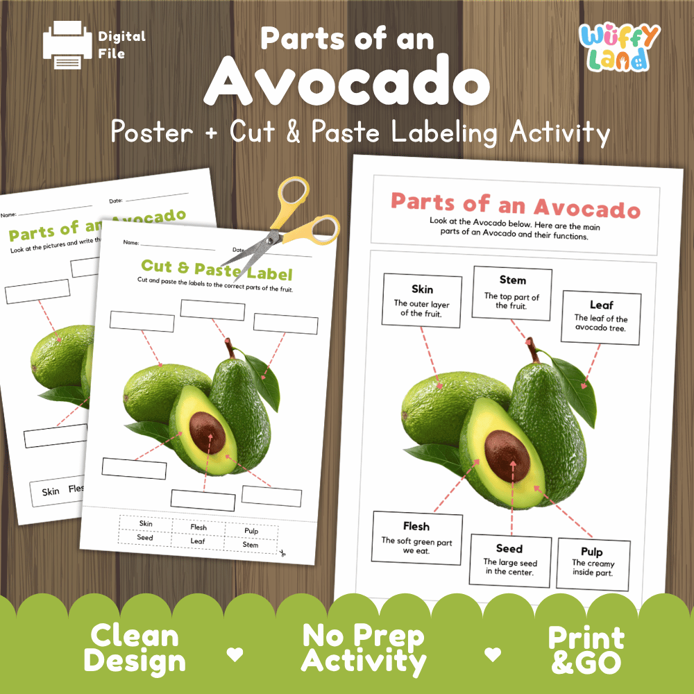 Parts of an Avocado poster and cut and paste labeling activity printable pack showing labeled reference chart and differentiated worksheets for elementary science