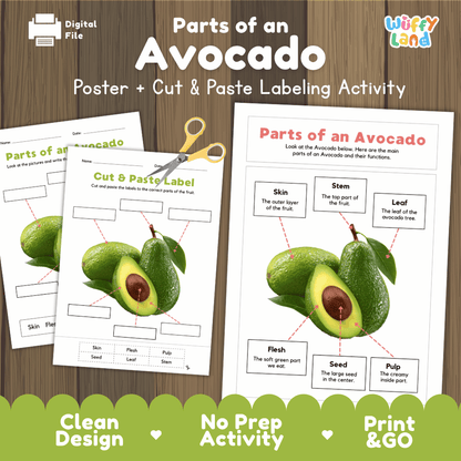 Parts of an Avocado poster and cut and paste labeling activity printable pack showing labeled reference chart and differentiated worksheets for elementary science