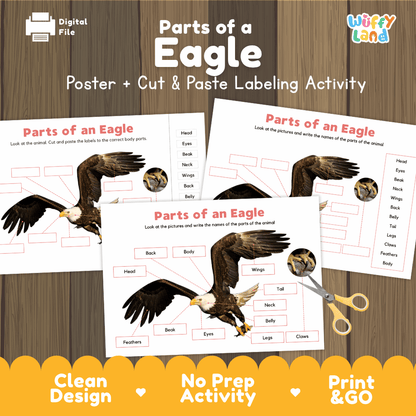 Parts of an Eagle poster and cut and paste labeling activity printable pack showing labeled reference chart and differentiated worksheets for elementary science