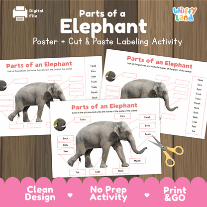Parts of an Elephant poster and cut and paste labeling activity printable pack showing labeled reference chart and differentiated worksheets for elementary science