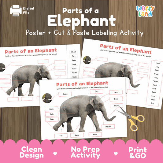 Parts of an Elephant poster and cut and paste labeling activity printable pack showing labeled reference chart and differentiated worksheets for elementary science