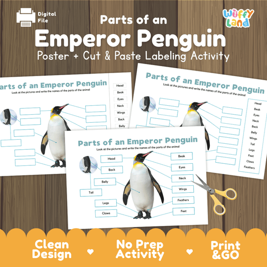 Parts of an Emperor Penguin anatomy poster and cut and paste labeling activity worksheet pack preview for elementary science