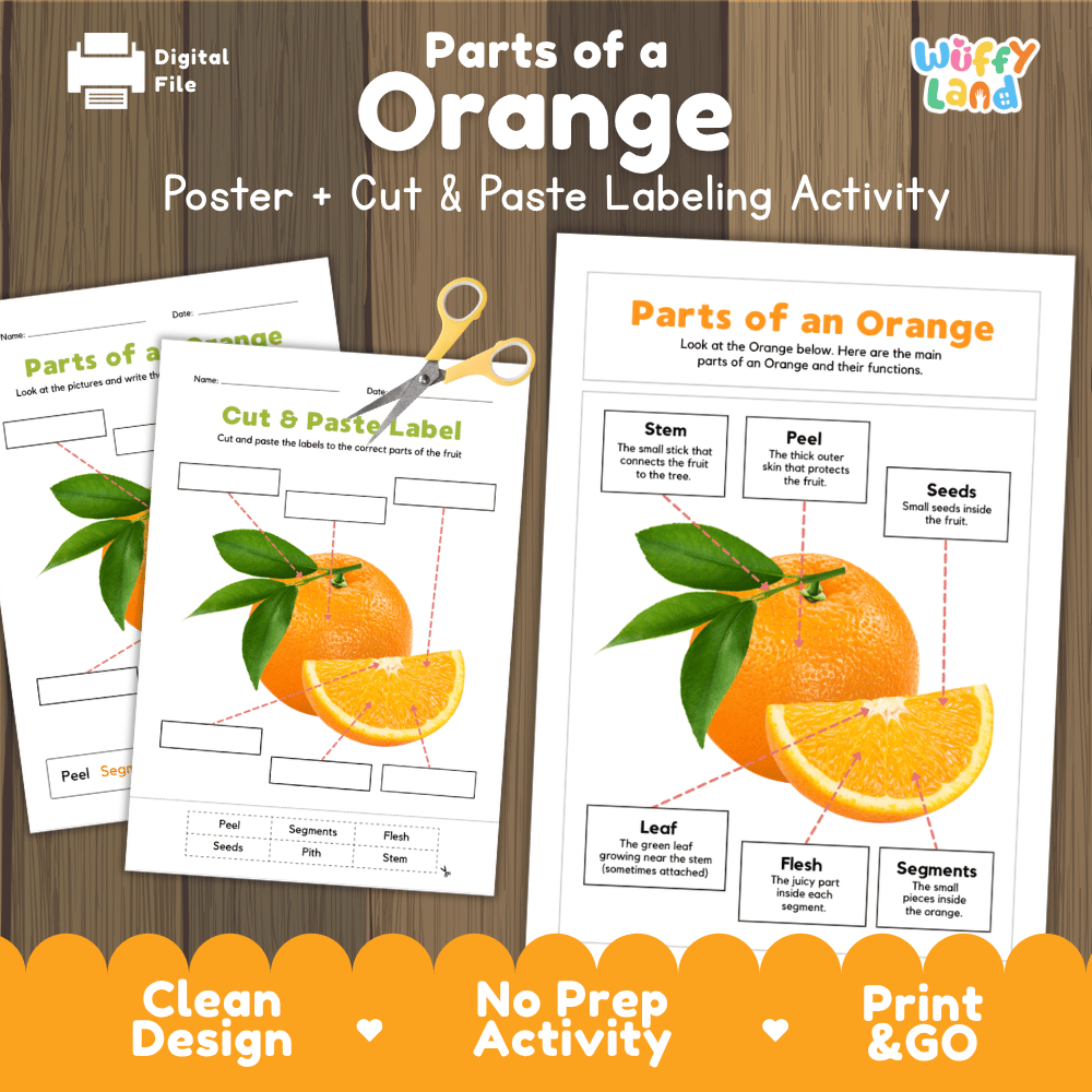 Parts of an Orange poster and cut and paste labeling activity printable pack showing labeled reference chart and differentiated worksheets for elementary science