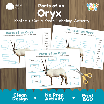 Parts of an Oryx anatomy poster and cut and paste labeling activity worksheet pack preview for elementary science