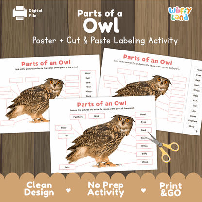 Parts of an Owl poster and cut and paste labeling activity printable pack showing labeled reference chart and differentiated worksheets for elementary science
