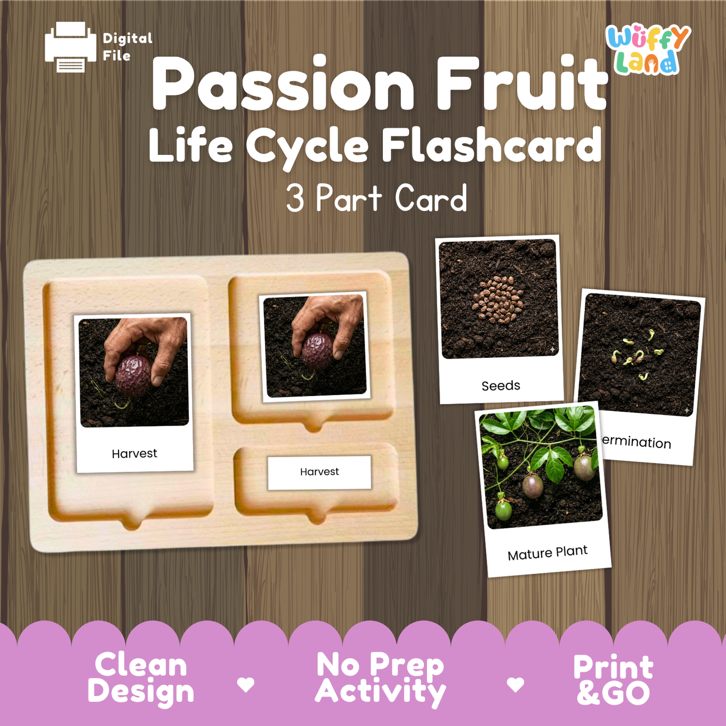 Passion Fruit Life Cycle Flashcard set by Wiffy Land, featuring a wooden 3-part card tray with labeled photos of harvest, seeds, germination, and a mature plant, shown on a wood-grain background with promotional text.