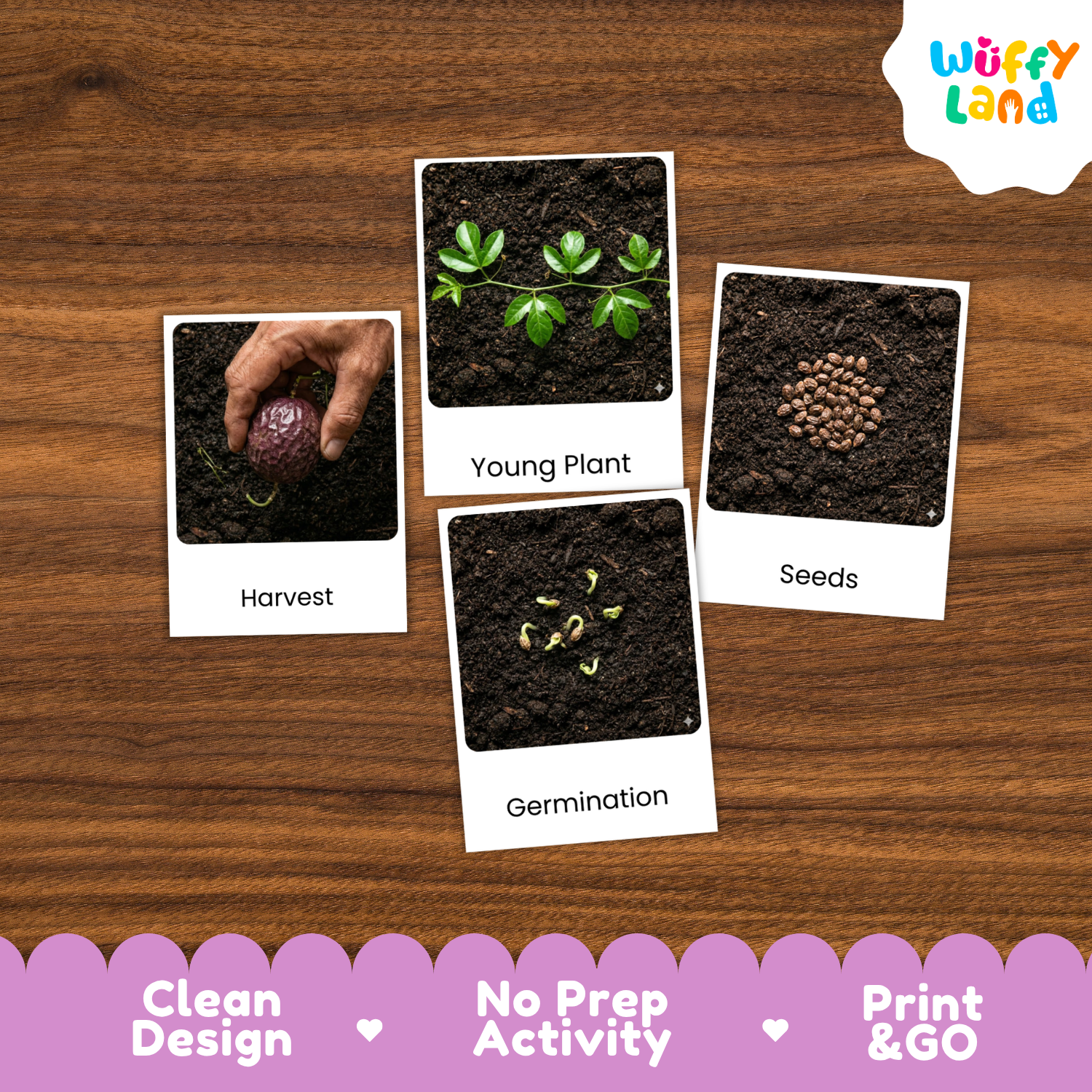 A set of four educational activity cards about plant growth, laid out on a brown wood-grain background. The cards show labeled photos of soil, seeds, a young plant, and harvesting, with the brand name 'Wuffi Land' in the top right corner.