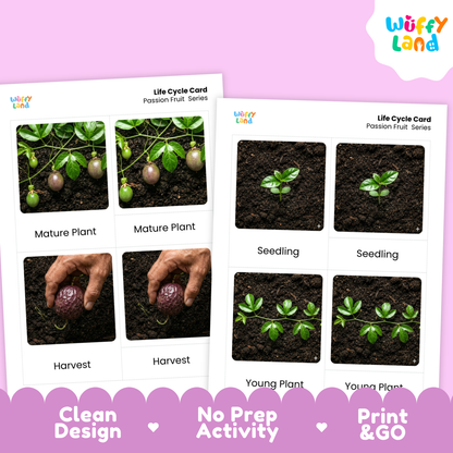 Two printed educational cards titled 'Life Cycle Card Passion Fruit Series' shown on a pink background. The cards contain labeled photos of passion fruit plants at seedling, young plant, mature plant, and harvest stages, along with hands planting and harvesting.