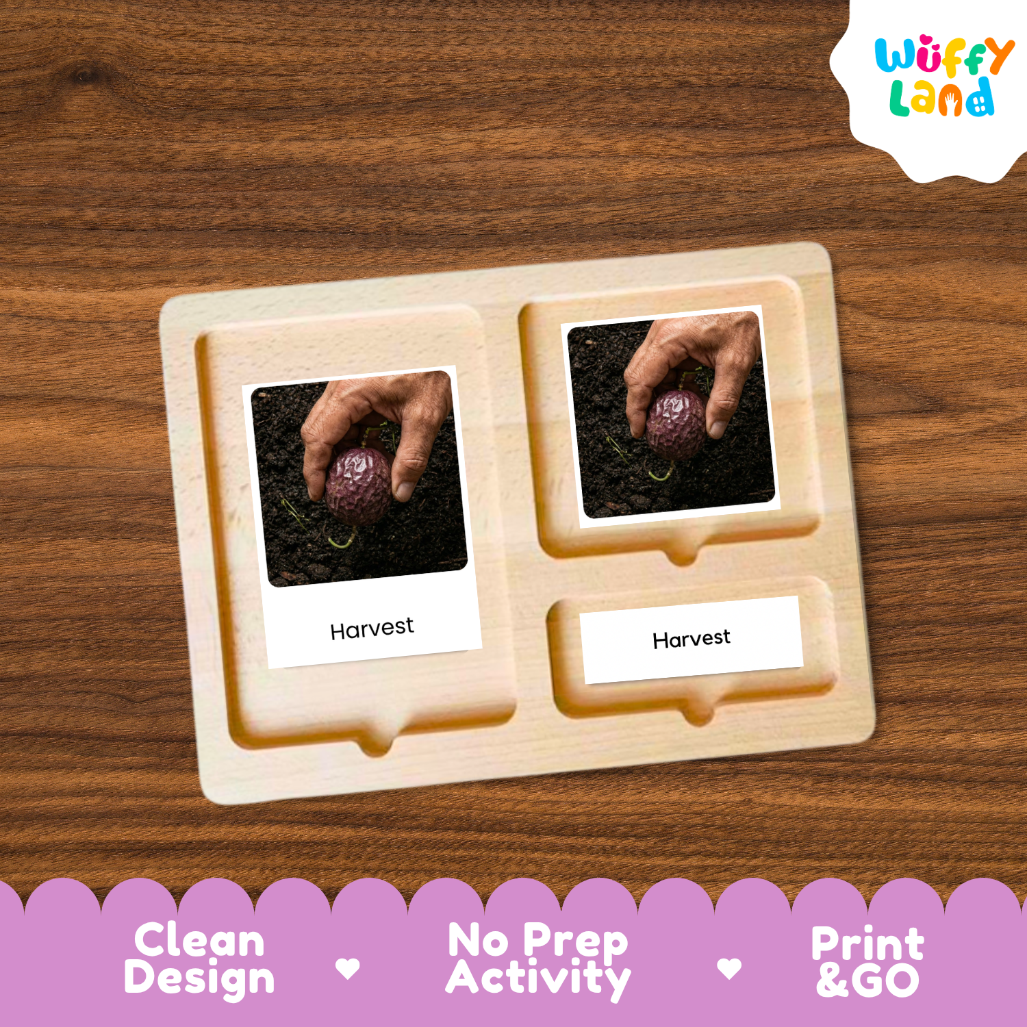 A wooden Montessori-style activity board with three compartments, shown on a brown wood-grain background. Two compartments contain printed photos of hands harvesting a purple eggplant, with labels reading 'Harvest'.