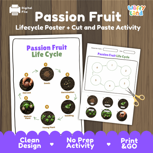 Printable passion fruit 6-stage life cycle cut and paste worksheet with real photographs of seeds, germination, seedling, young plant, mature plant, and harvest ✂️🔄