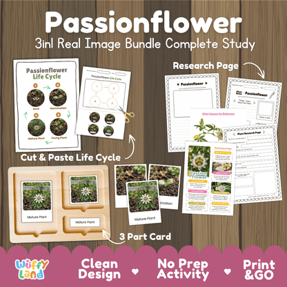 Passionflower plant 3in1 real image bundle complete study printable featuring life cycle cut and paste worksheets, Montessori 3-part cards, and research pages