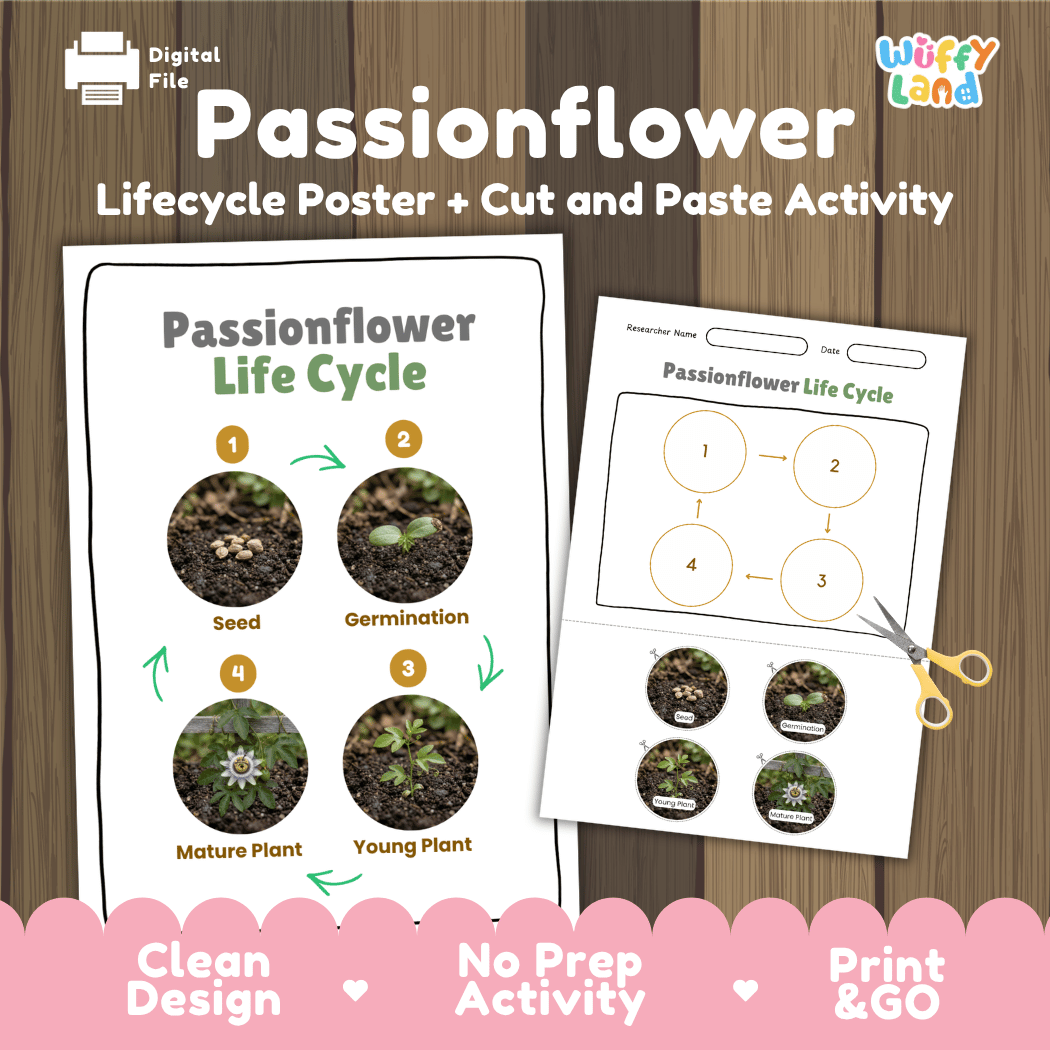 Passionflower Life Cycle Poster and Cut and Paste Worksheet Activity