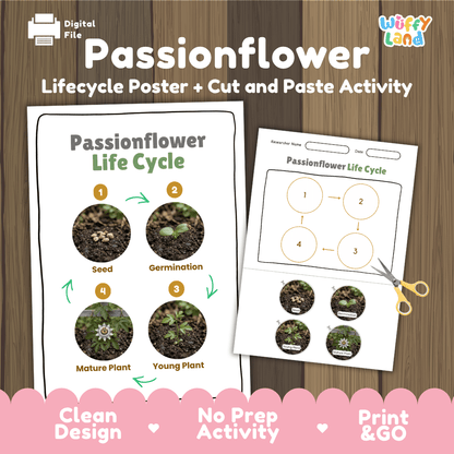Passionflower Life Cycle Poster and Cut and Paste Worksheet Activity