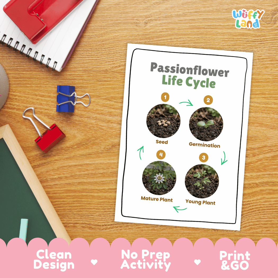 Passionflower Life Cycle Poster and Cut and Paste Worksheet Activity