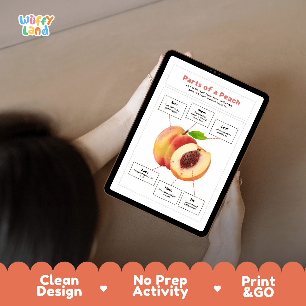 Educational cut and paste peach fruit anatomy worksheet with printable word cutout tiles for skin, stem, leaf, flesh, pit, and juice