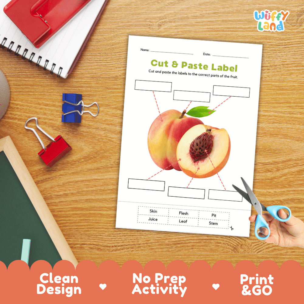 Printable plant biology worksheet showing sliced and whole fresh peaches with blank labeling boxes and a vocabulary word bank for writing practice