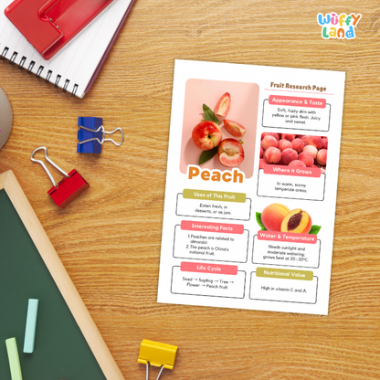 Peach Fruit Research Page Worksheets and Fact Sheet