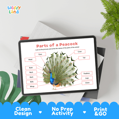 Educational cut and paste peacock anatomy worksheet with printable word cutout tiles for crest, beak, feathers, and claws