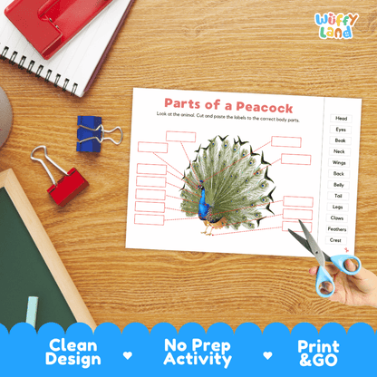 Printable bird anatomy worksheet showing a realistic male peacock with blank labeling boxes and a vocabulary word bank for writing practice